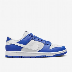 Кросівки Nike Dunk Low Racer Blue Photon Dust FN3416-001