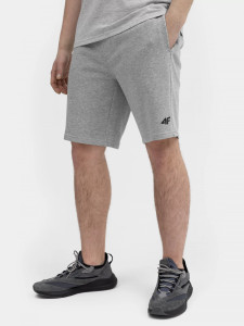 Шорти 4FSS23TSHOM156-27M 4F L Сірий 4FSS23TSHOM156-27M