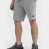 Шорти 4FSS23TSHOM156-27M 4F L Сірий 4FSS23TSHOM156-27M