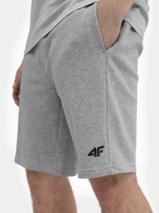 Шорти 4FSS23TSHOM156-27M 4F L Сірий 4FSS23TSHOM156-27M