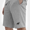 Шорти 4FSS23TSHOM156-27M 4F L Сірий 4FSS23TSHOM156-27M