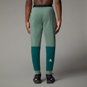 Штани спортивні M MOUNTAIN ATHLETICS FLEECE 0A893S58S1 THE NORTH FACE L Зелений 0A893S58S1