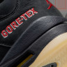 Кросівки Jordan 5 Retro Gore-Tex Off-Noir (W) DR0092-001
