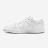 Кросівки Nike SB DUNK LOW PRO FJ1674-100