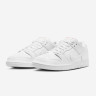 Кросівки Nike SB DUNK LOW PRO FJ1674-100