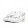 Кросівки NIKE AIR MAX 1 PATTA DQ0299-100