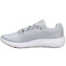 Кросівки Under Armour Charged Pursuit 2 Grey 3025247-101