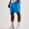 Шорти Nike Sportswear Tech Fleece Shorts Light Blue FB8171-435