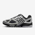 Кросівки Nike AIR Pegasus 2005 Silver Metallic HQ5403 001