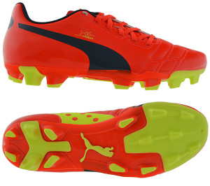 Бутси Puma evoPOWER 4 FG 102953-01