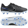 Бутси Nike JR LEGEND 10 ACADEMY FG/MG DV4348-040