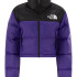 Куртка The North Face Nuptse Stort 700 NF0A5GGES96