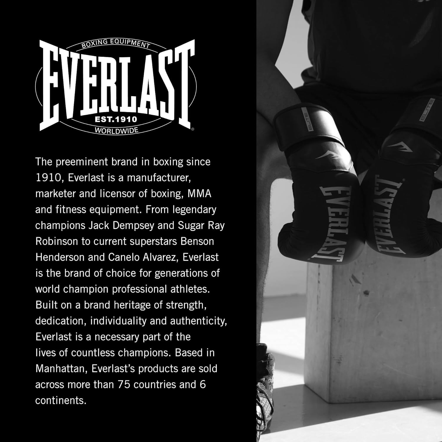 Рукавиці боксерські Everlast PROSTYLE 2 BOXING GLOVE чорний Уні 8 унцій P00003072