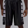 Шорти Jordan M BRK CAT SCRATCH SHORT HV0560-011