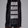 Шорти Jordan M BRK CAT SCRATCH SHORT HV0560-011
