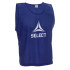 Манішка SELECT Bib Basic Big Logo 684200-001