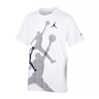 Футболка JORDAN MBRAND SS HBR CREW FN6025-100