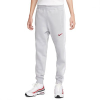 Штани чоловічі Nike Nsw Sp Flc Jogger Bb Grey FN0246-012