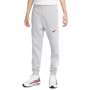 Штани чоловічі Nike Nsw Sp Flc Jogger Bb Grey FN0246-012