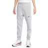 Штани чоловічі Nike Nsw Sp Flc Jogger Bb Grey FN0246-012