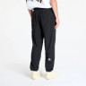 Штани спортивні Athletics Wind Pant 0A8BGNJK31 THE NORTH FACE L Чорний 0A8BGNJK31