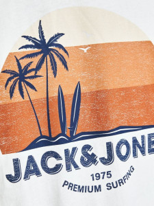 Футболка JJPALM TEE SS 12200243-Cloud Dancer-Fit:Standard Fit Jack&Jones L Білий 12200243-CLOUD DANCER-FIT