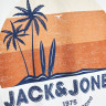 Футболка JJPALM TEE SS 12200243-Cloud Dancer-Fit:Standard Fit Jack&Jones L Білий 12200243-CLOUD DANCER-FIT
