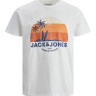 Футболка JJPALM TEE SS 12200243-Cloud Dancer-Fit:Standard Fit Jack&Jones L Білий 12200243-CLOUD DANCER-FIT