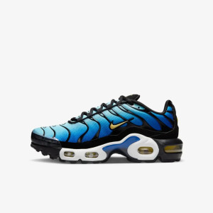 Кросівки NIKE AIR MAX PLUS BG CD0609-032