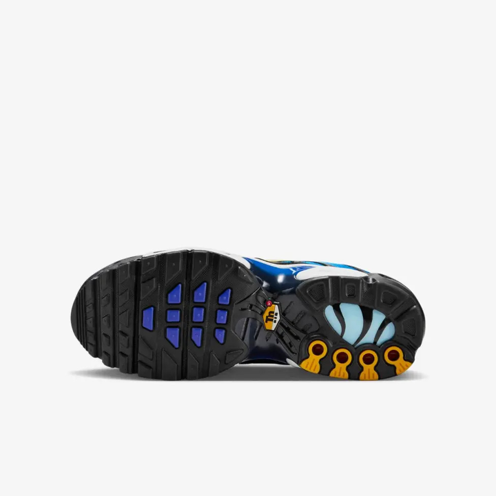 Кросівки NIKE AIR MAX PLUS BG CD0609-032
