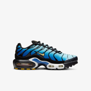 Кросівки NIKE AIR MAX PLUS BG CD0609-032