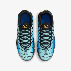 Кросівки NIKE AIR MAX PLUS BG CD0609-032
