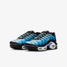 Кросівки NIKE AIR MAX PLUS BG CD0609-032