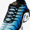 Кросівки NIKE AIR MAX PLUS BG CD0609-032