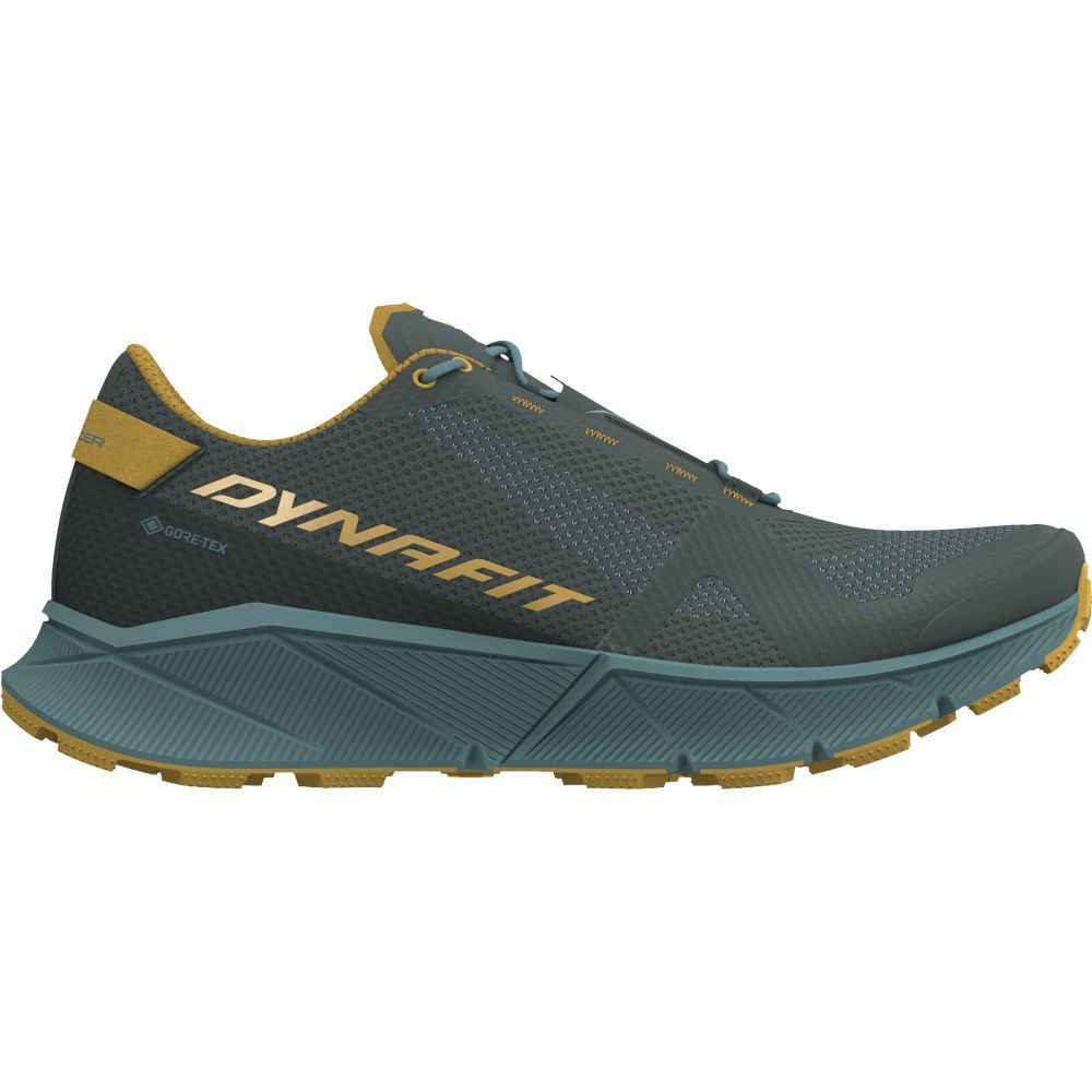 Кросівки Dynafit Ultra 100 GTX Mns 016.001.2393