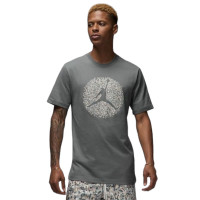 Футболка Jordan FLT Essential Pool SS Crew FN6006-084
