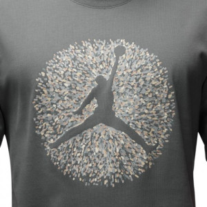 Футболка Jordan FLT Essential Pool SS Crew FN6006-084