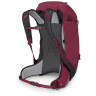 Рюкзак Osprey Hikelite 32 009.4014
