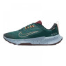 Кросівки Nike Juniper Trail 2 Gore-Tex FB2067-300