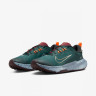 Кросівки Nike Juniper Trail 2 Gore-Tex FB2067-300