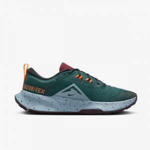 Кросівки Nike Juniper Trail 2 Gore-Tex FB2067-300