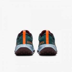 Кросівки Nike Juniper Trail 2 Gore-Tex FB2067-300