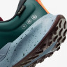 Кросівки Nike Juniper Trail 2 Gore-Tex FB2067-300