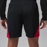 Шорти Jordan M SPT BB SHORT IQ5775-010