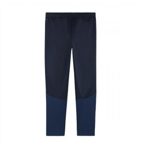 Штани Puma teamGOAL Training Pant Wmn 658642-06
