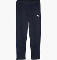 Штани Puma teamGOAL Training Pant Wmn 658642-06
