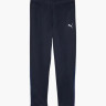Штани Puma teamGOAL Training Pant Wmn 658642-06