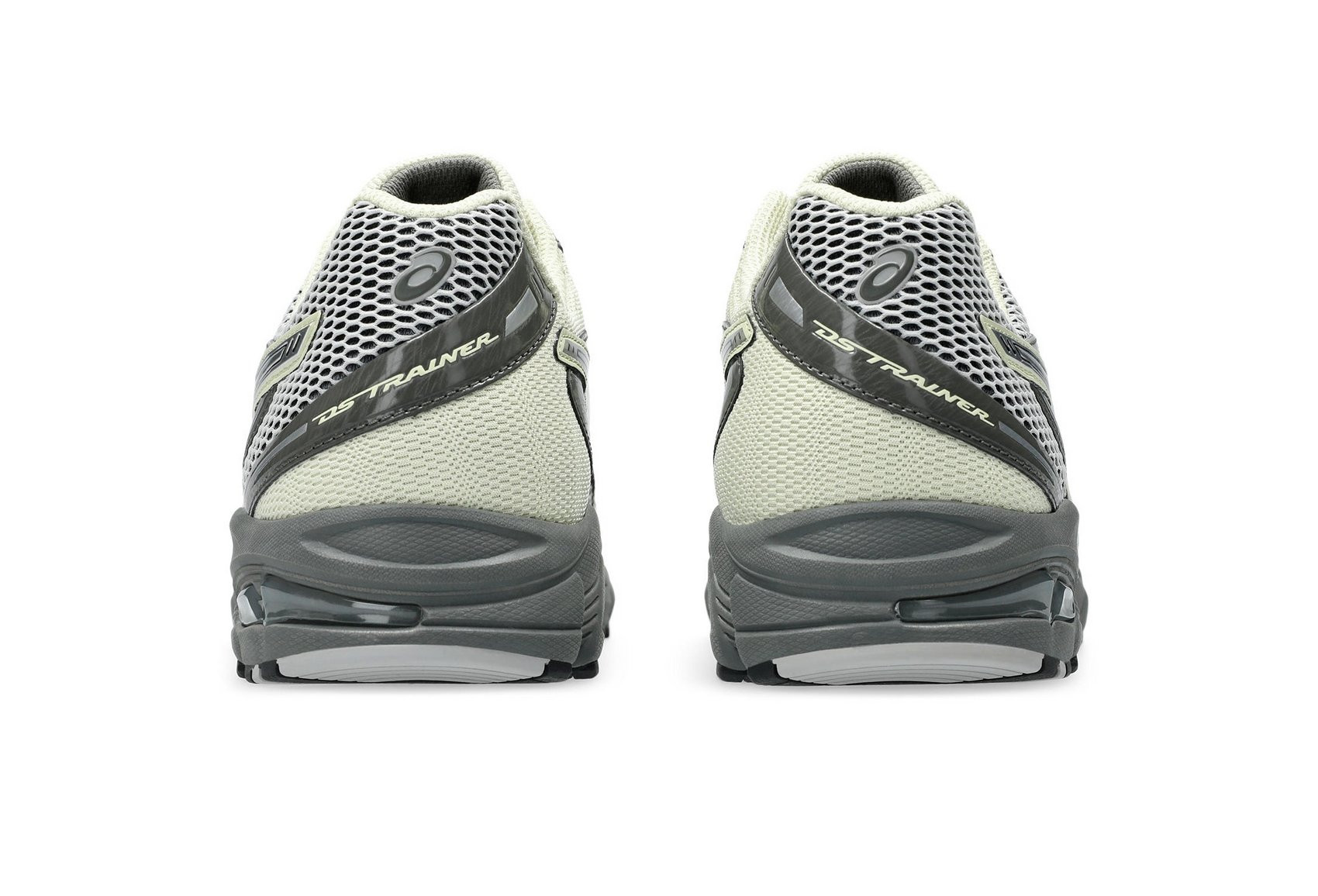 Кросівки Asics GEL-DS Trainer 14 1203A607-020