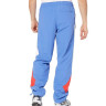 Штани Reebok Classics Twin Vector Track Pants FJ3334