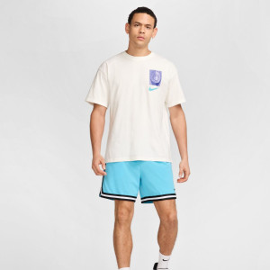 Футболка Nike M TEE M90 OC 1 HJ3325-133